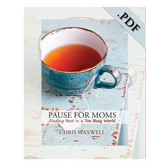 Pause For Moms e-book PDF