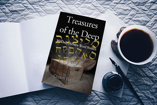 Treasures of the Deep - Image 3