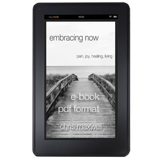 embracing now ebook