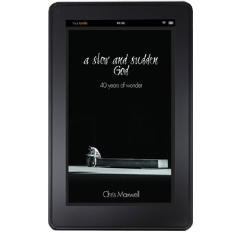 a slow and sudden God eBook