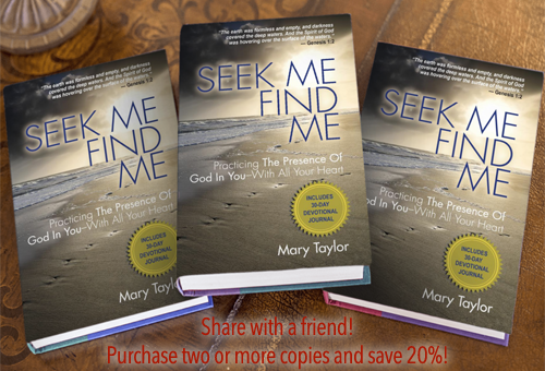 Seek Me Find Me - Image 2